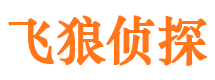 兰西市私家侦探